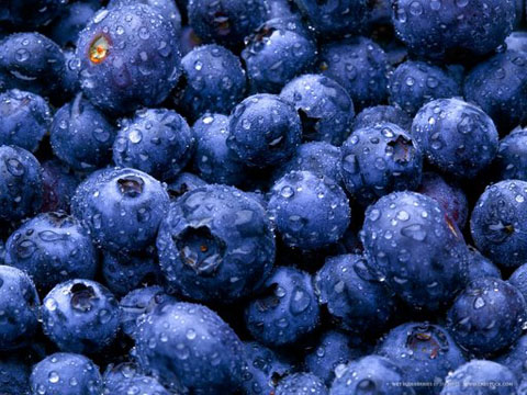 blueberries-large