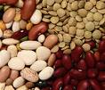 vegetarian protein source beans